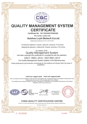 ISO9001 certificate SO 9001 certificate