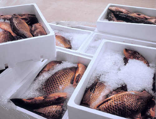 Mix 822: Усиление качества и функциональности мясных и морепродуктов